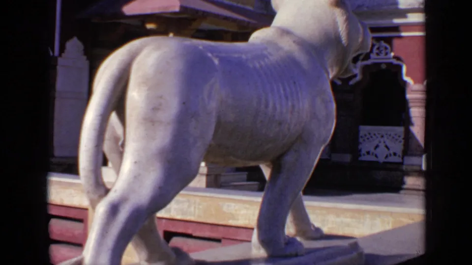 1970 India 8mm frame with a close rear view of the white lioness statue against a decorative building exterior.