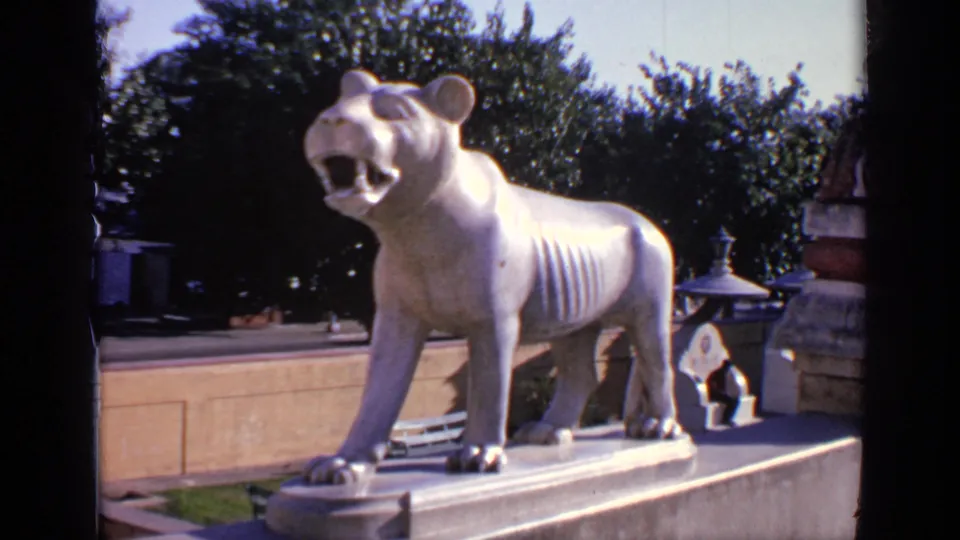 1970 India 8mm frame showing a front-side view of the white lioness statue with trees and architectural details behind it.