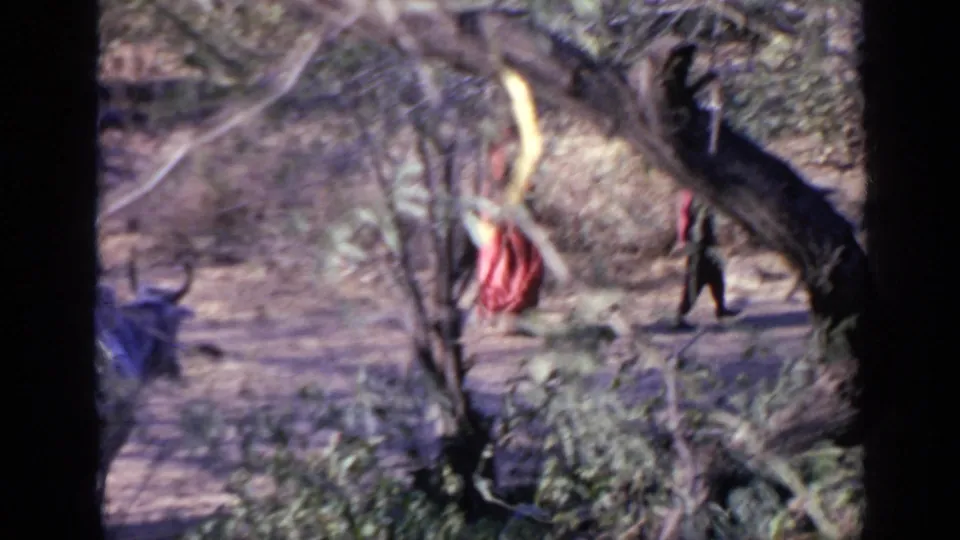 A woman in a red garment appears near a horned bull in dry woodland, consistent with the India 1970 home-movie metadata.