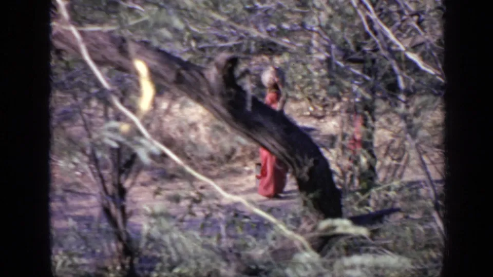Two women move through a dry wooded area in India circa 1970, partially obscured by tree trunks and branches.