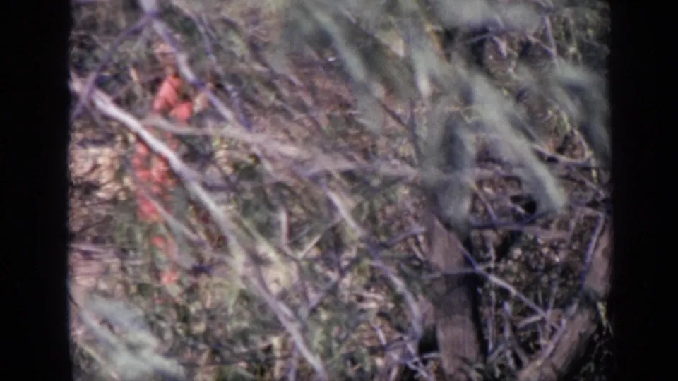 The final frame shows red-clad figures partially obscured in dry brush, with soft 8mm blur and handheld framing.