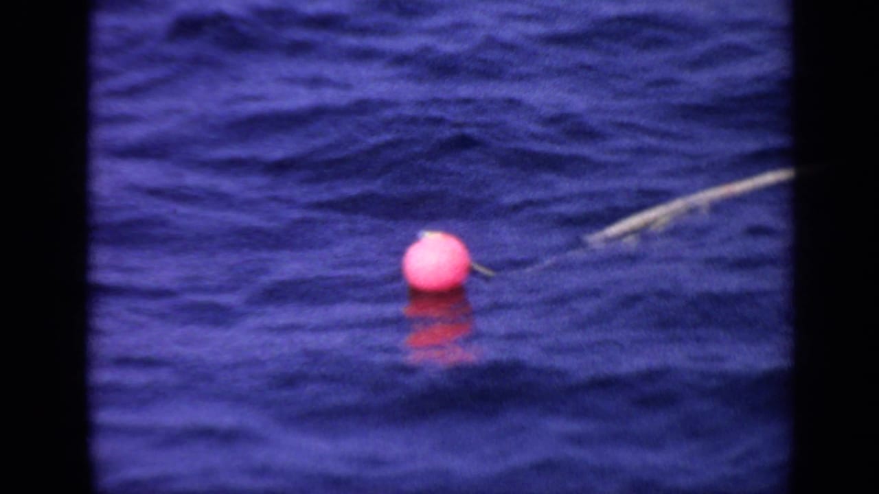 Bright pink buoy floating on dark blue ocean water with a thin line nearby.