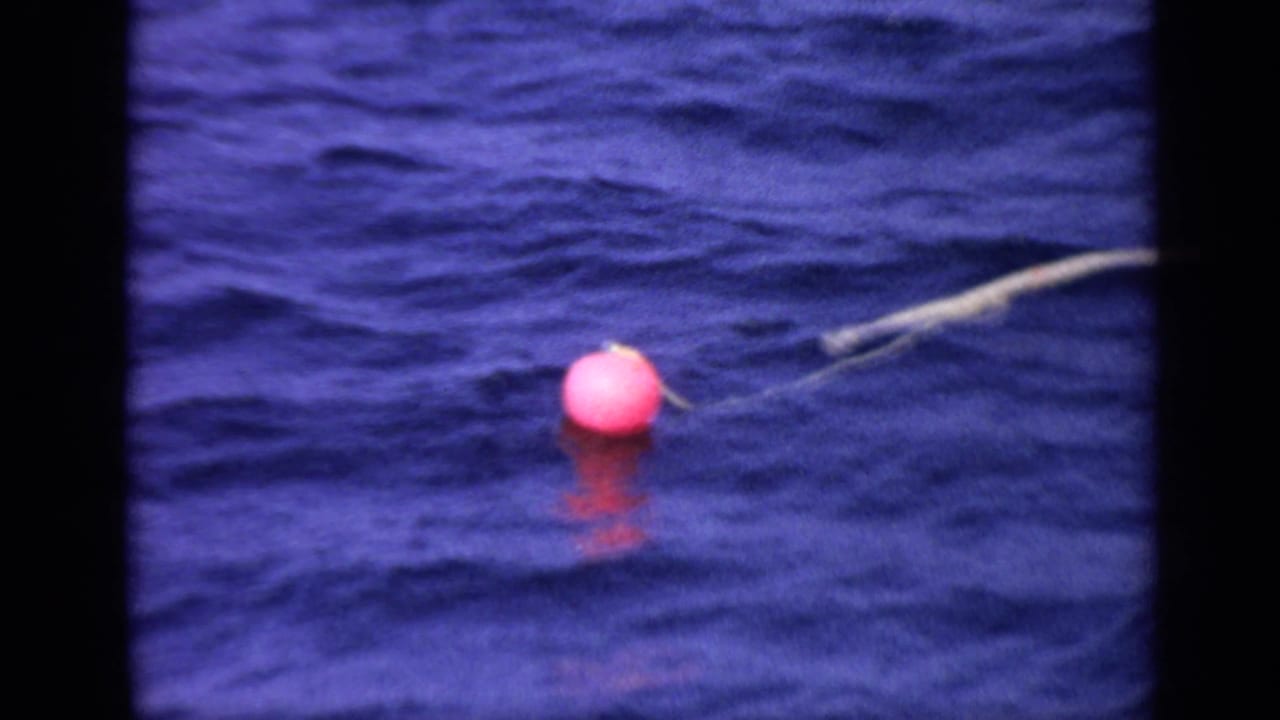 Pink buoy on rippled blue water with a pale line extending across the frame.
