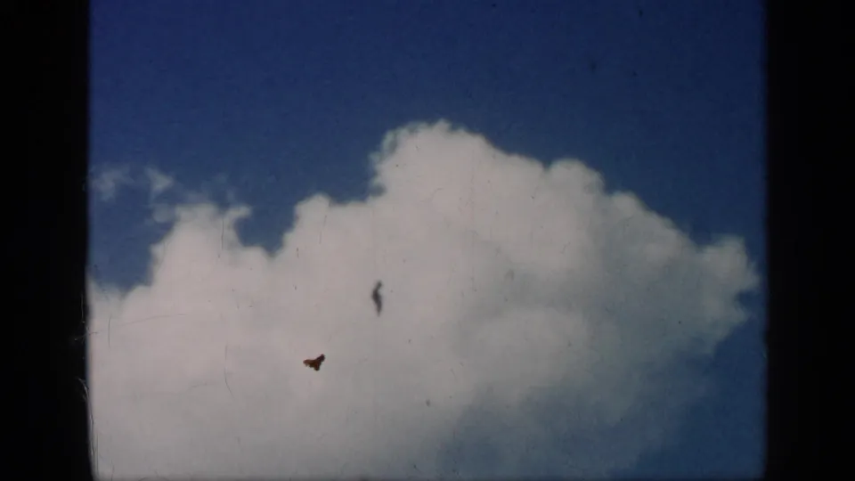 After the cockpit moment, the camera points upward to a distant bird against blue sky and a large white cloud.