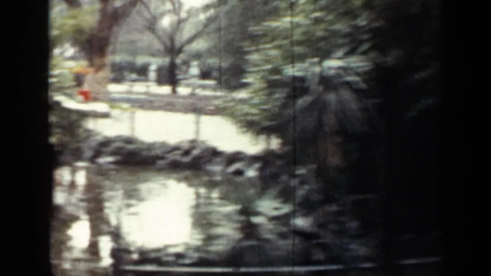 1962 Cuba 8mm frame showing a landscaped pond with water reflections, trees, shrubs, and a dark vertical film-frame edge.