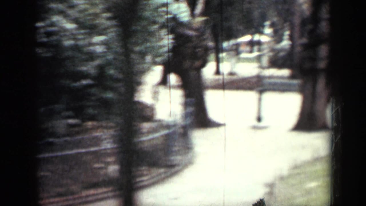 Blurry handheld view of trees, a walkway, and park railing.