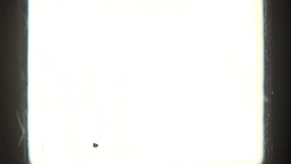 Overexposed end frame from the 8mm clip, with little scene detail visible beyond film border, dust, and faint color at the edge.
