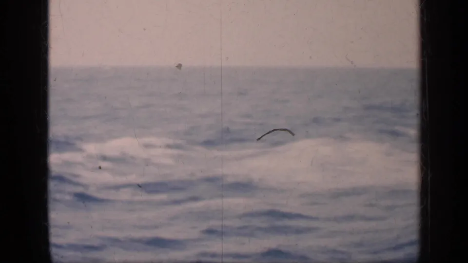 1960s 8mm home-movie view of open sea, showing low waves, a pale horizon, dark borders, scratches, and dust.