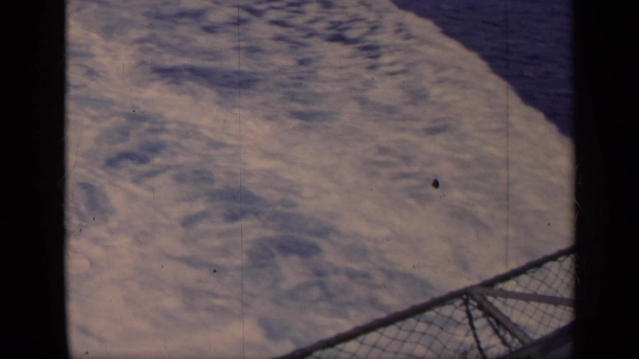 Textured water surface with a chain-link railing entering from the lower right.