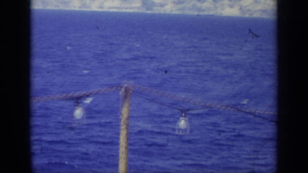 Rope lights and a wooden post in front of open blue water.
