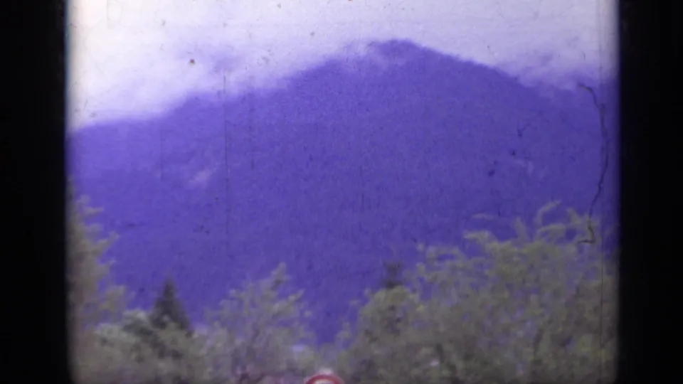 1962 Italy home-movie view of a purple-tinted mountain slope rising behind treetops in soft 8mm color.