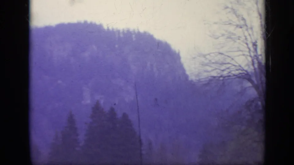 1962 Italy home-movie frame of a wooded mountain landscape with evergreen trees, bare branches, cloudy sky, and visible 8mm dust and color shift.