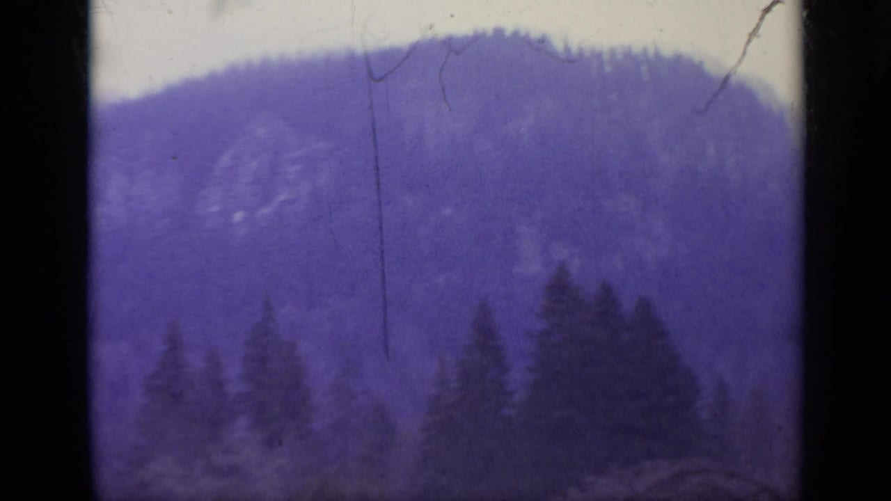 Purple-tinted wooded hillside with dark tree silhouettes and film gate edges.