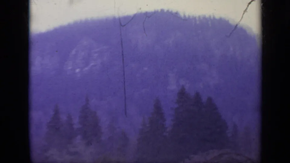 1962 8mm Italy footage begins on a soft, purple-tinted wooded hillside above dark evergreen trees.