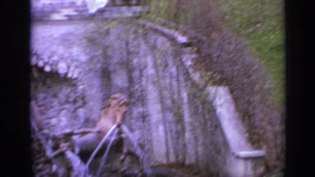 Stone fountain detail beside a vine-covered garden wall and greenery.
