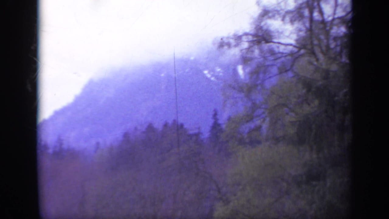 Misty mountain slope behind dark forest and bare branches.