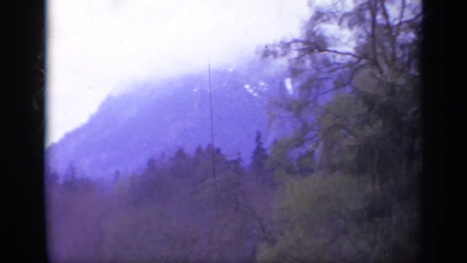 1962 Italy 8mm frame showing a purple-tinted misty mountain rising behind forest and bare tree branches.