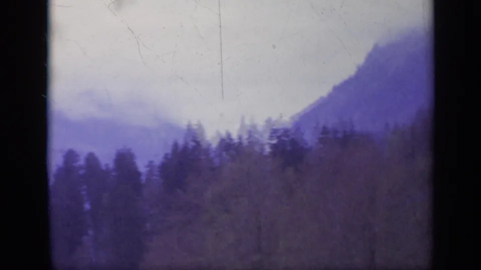 Soft 8mm view of a misty Italian mountain ridge above evergreen trees under a pale cloudy sky.