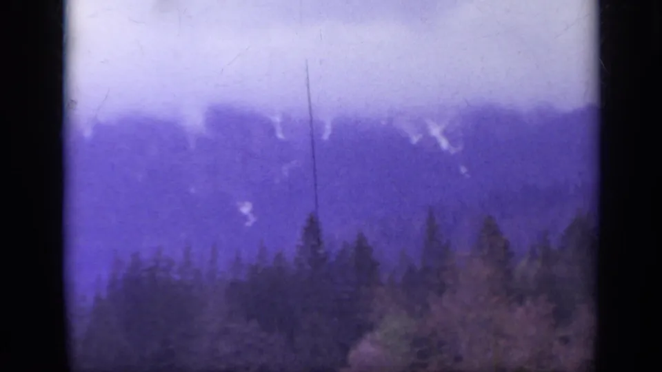 1962 Italy 8mm frame showing conifer treetops below misty mountain peaks, with purple cast, grain, and scratches.