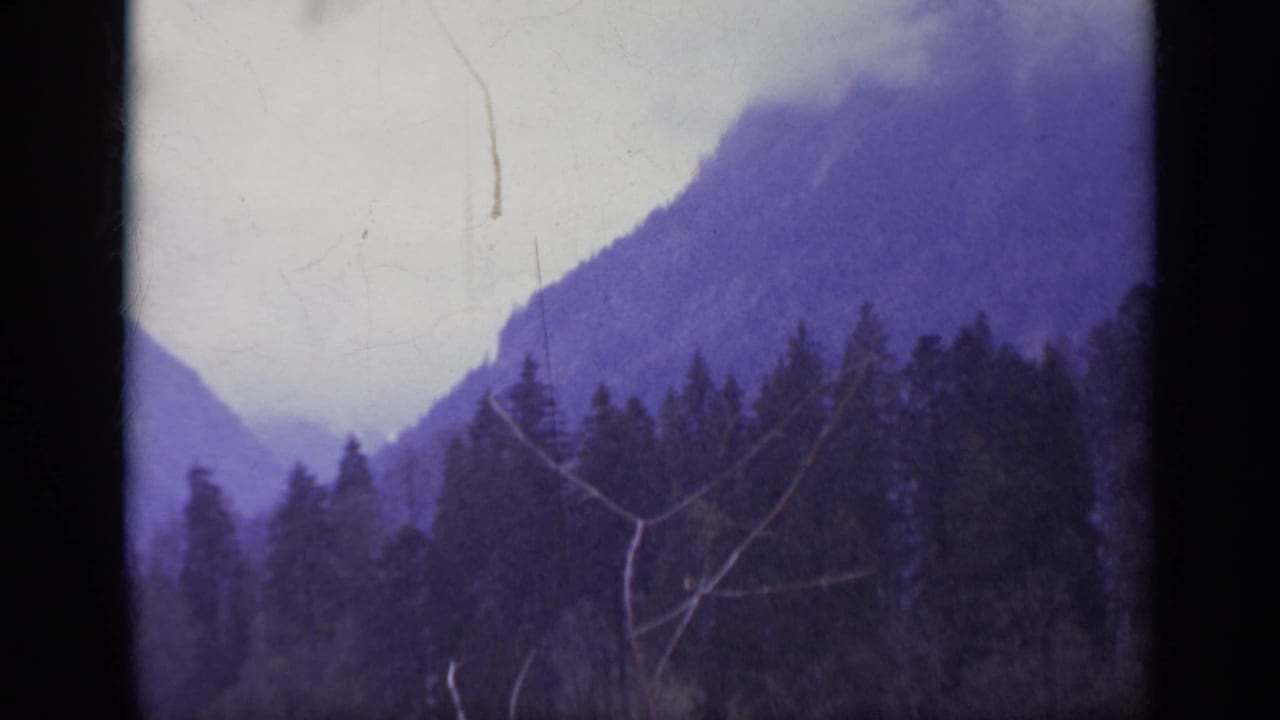 Misty mountain slope behind a dark evergreen forest under an overcast sky.