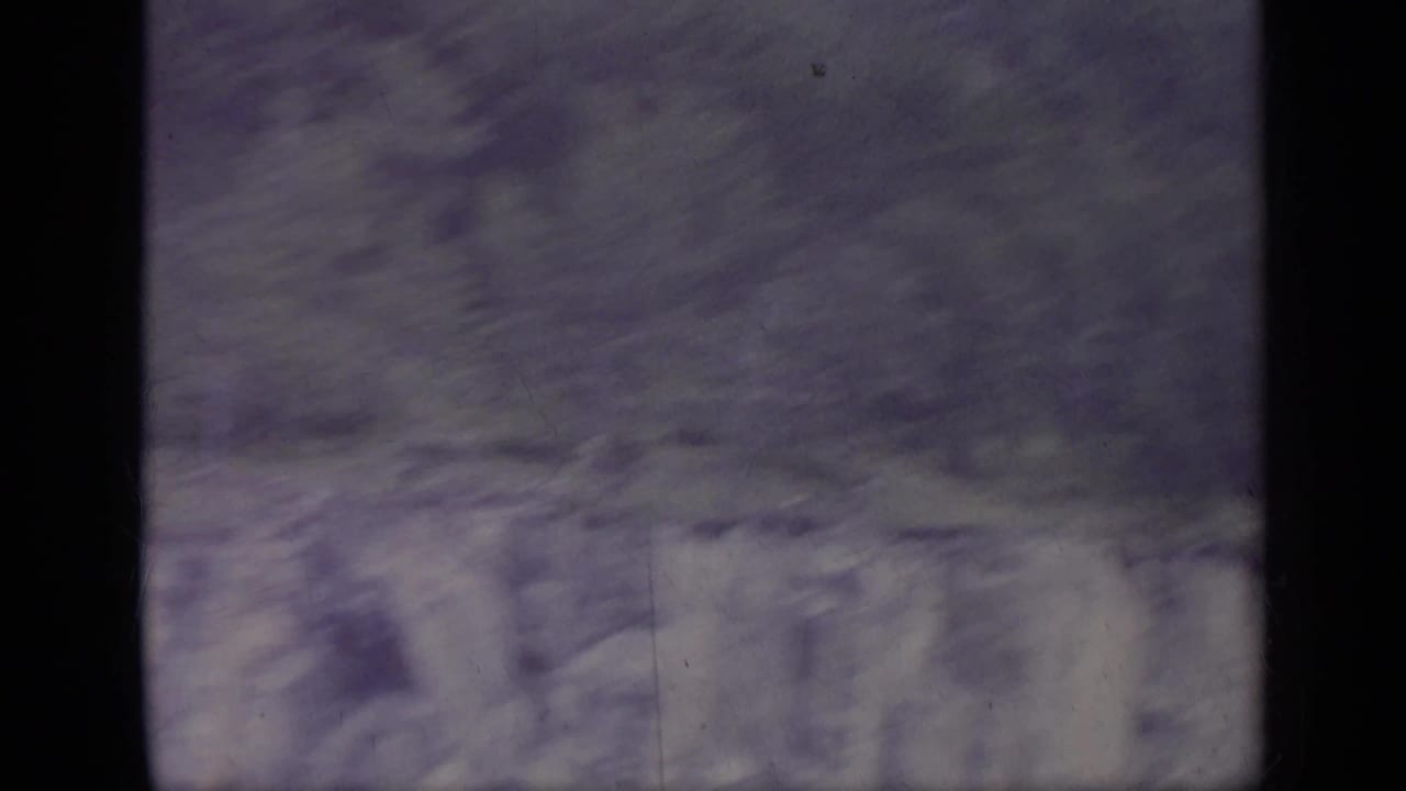 Blurred tree canopy and dark film-frame bars with a pale sky edge.