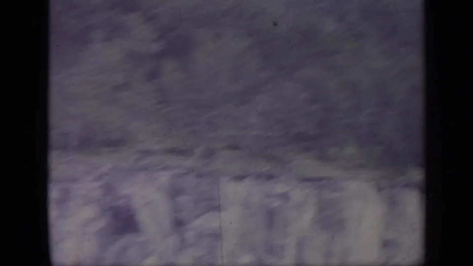 1962 Italian 8mm frame with blurred wooded foliage, soft purple color shift, and dark contact-sheet borders.