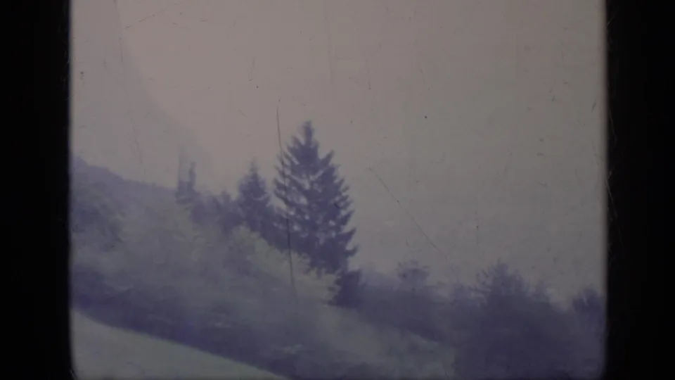 1962 Italian 8mm frame showing an evergreen silhouette on a hazy wooded slope with grain, scratches, and faded color.