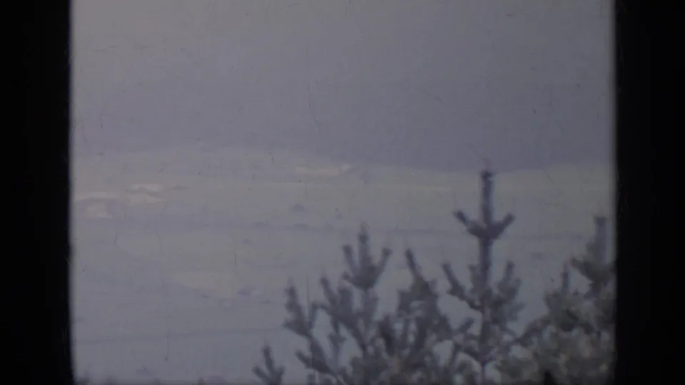 1962 Italy 8mm frame with hazy sky, vertical gate shadows, and pine branches silhouetted near the lower right.