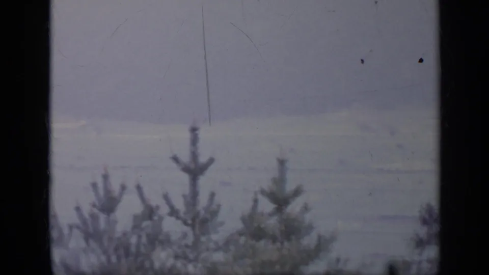 1962 Italy 8mm frame showing pine tops against a gray, softly exposed sky with scratches and grain visible in the scan.
