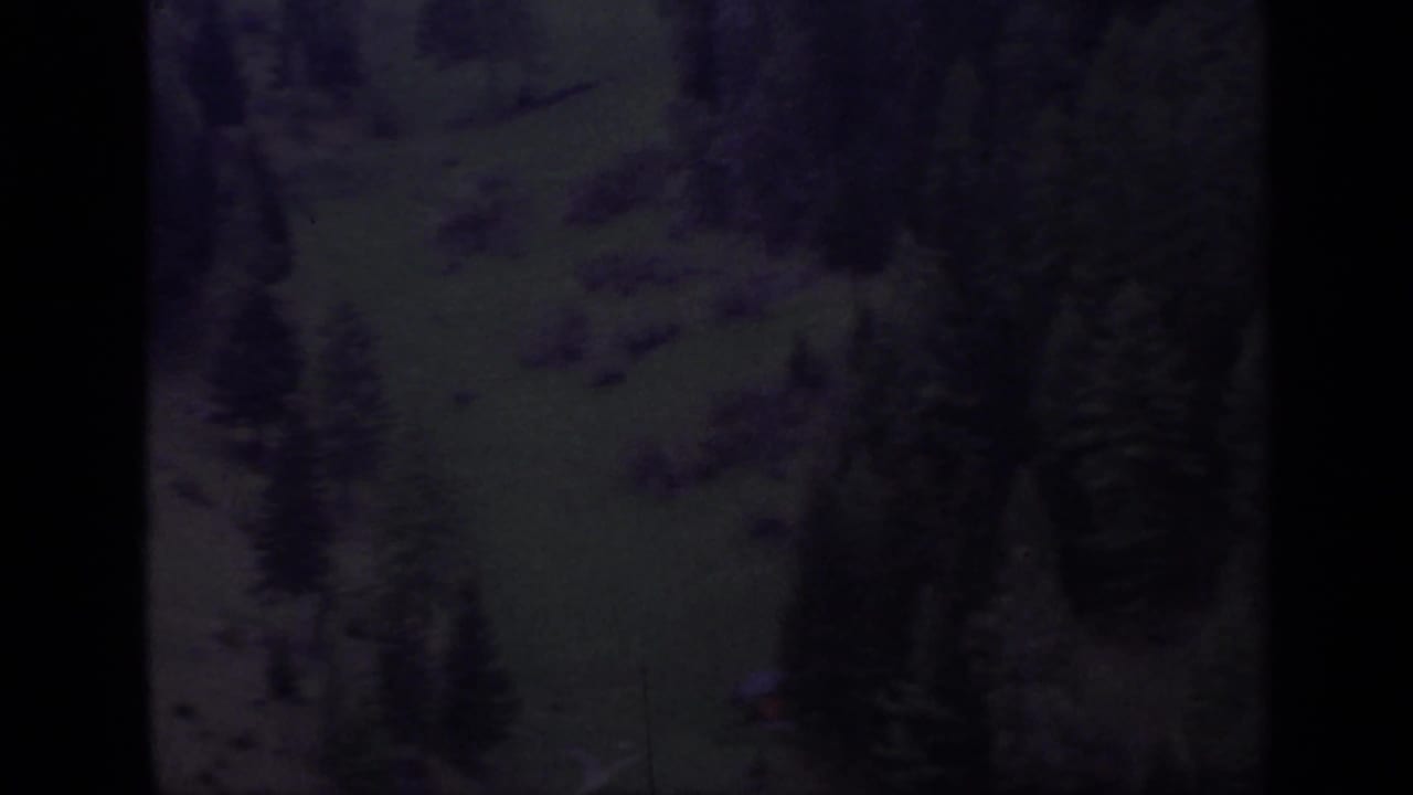 Dark, soft 8mm view of a wooded hillside and green slope.