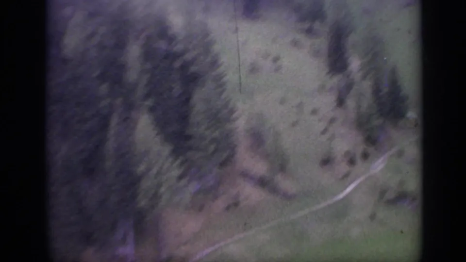 1962 Italian rural frame with a steep wooded slope and a pale winding path or track crossing the hillside.