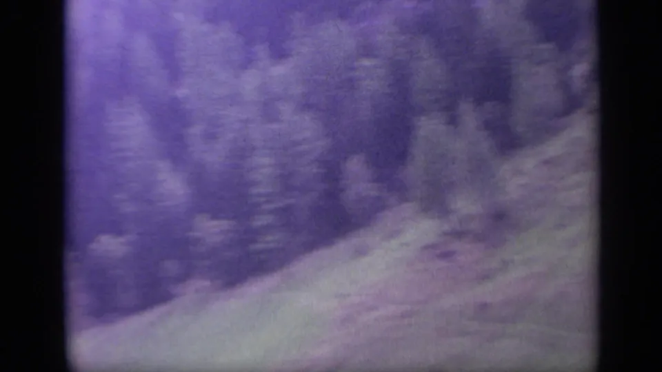 Soft 8mm view of a wooded Italian mountain slope with fir trees and green foreground during camera movement.