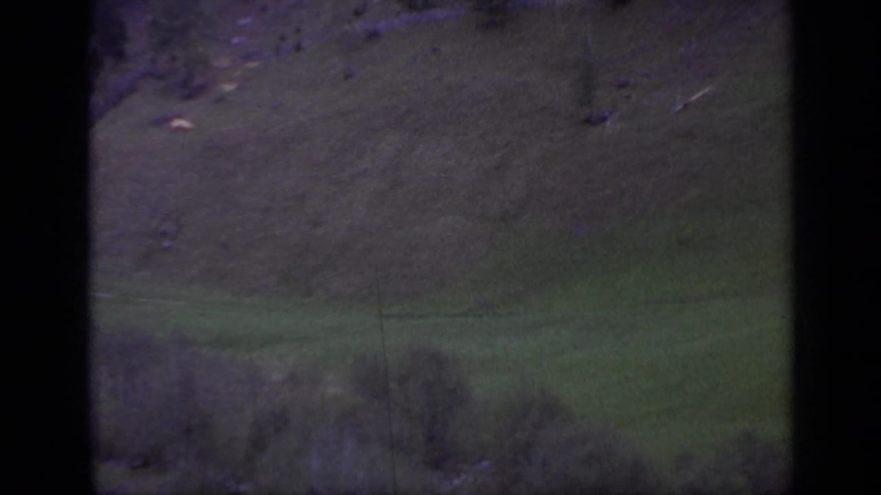 Dark, grainy view of green mountain slopes with a utility pole faintly visible.