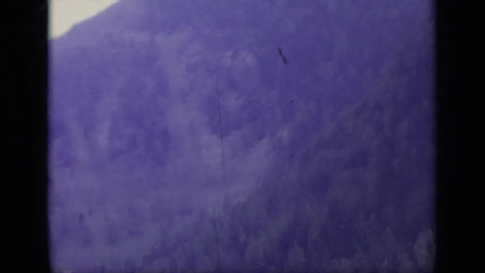 Purple-shifted view of a mountain slope in the 1962 Italy travel footage, with soft focus, grain, and a pale sky edge.