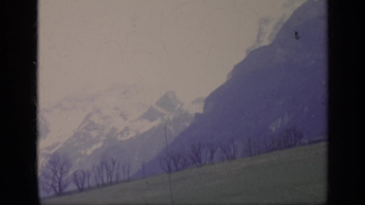 Distant mountains above a sloping field and bare trees.