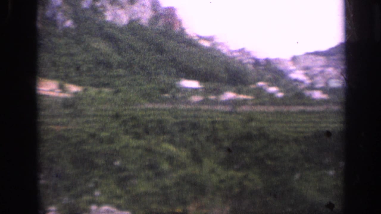 Green coastal hillside with scattered white buildings viewed through dark film borders.