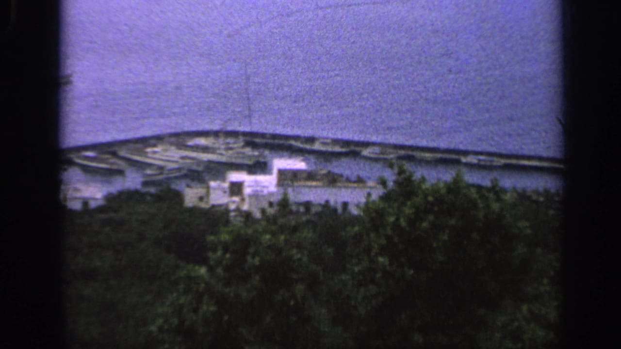Distant harbor and white coastal buildings seen beyond dark trees.