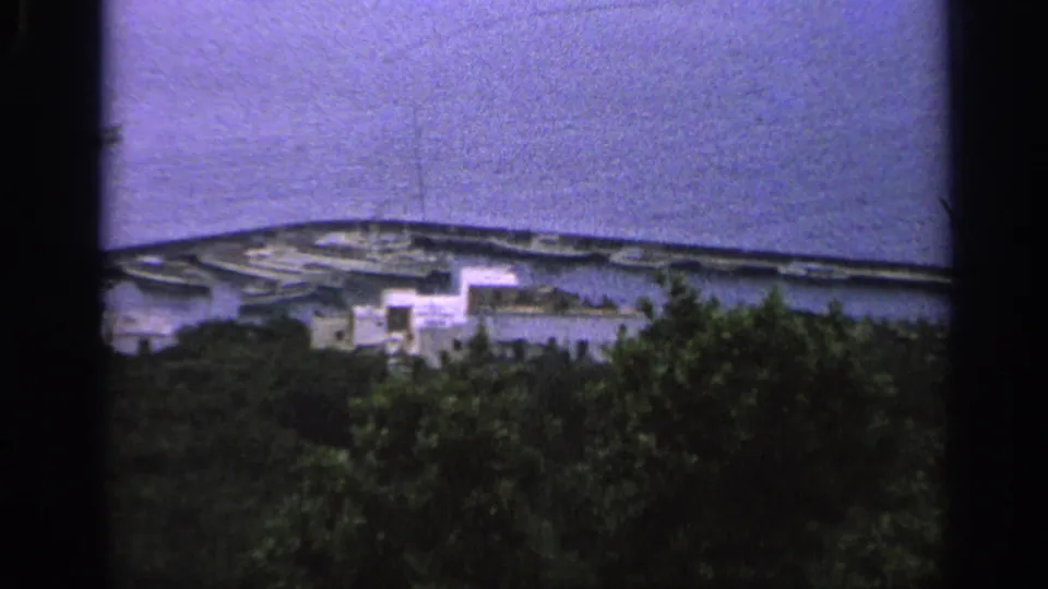 1962 Italian 8mm frame showing a distant harbor and pale waterfront buildings behind dense foreground trees.