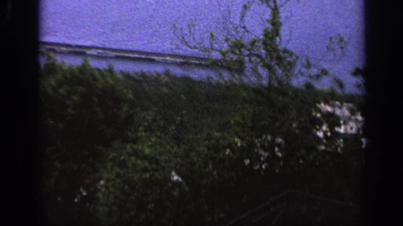 Italian home-movie view of shoreline buildings and calm water, partially blocked by garden foliage and dark frame edges.