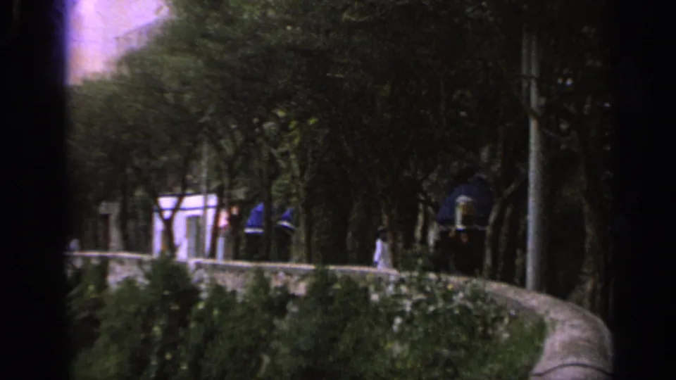 1962 Italian garden scene with a curved stone path, dense greenery, walls, and small figures in the distance.