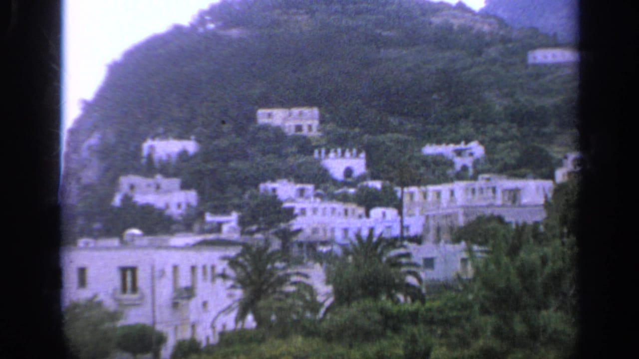 White villas and palm trees on a green hillside.