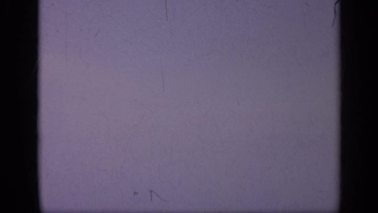 Purple-tinted blank film frame with dark central divider and surface scratches.