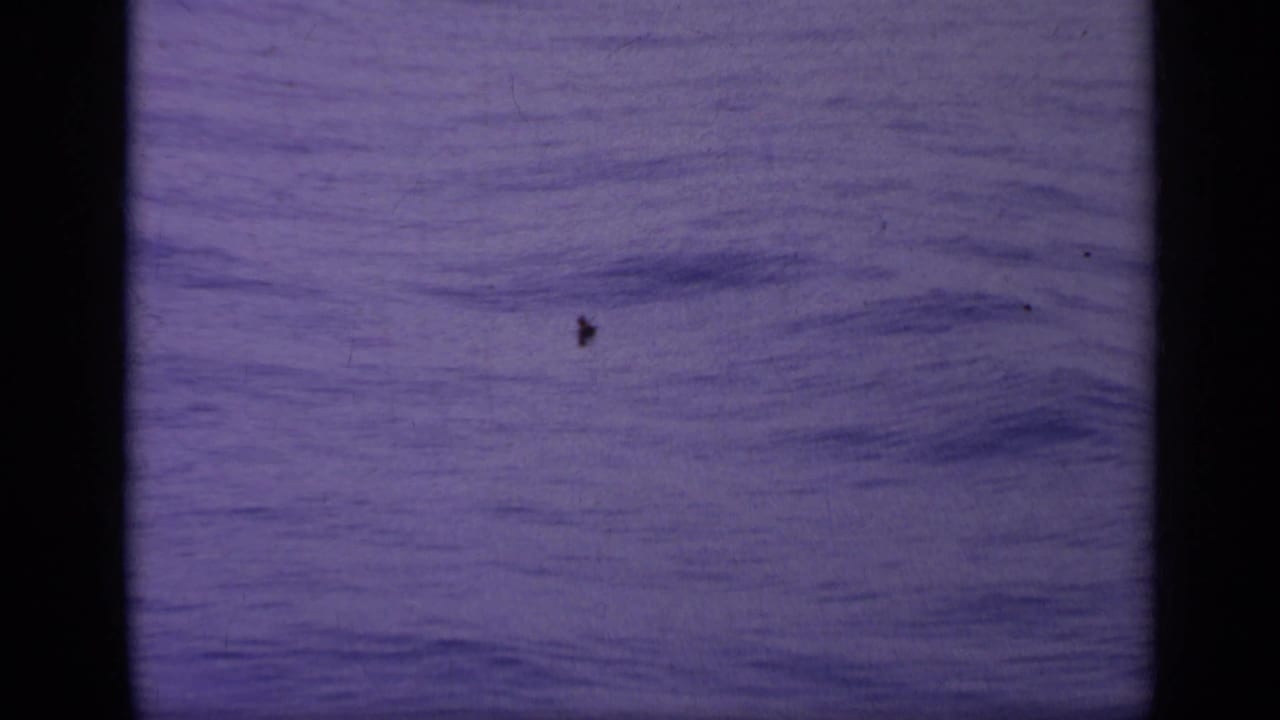 Small aircraft speck crossing a pale blue-purple sky.