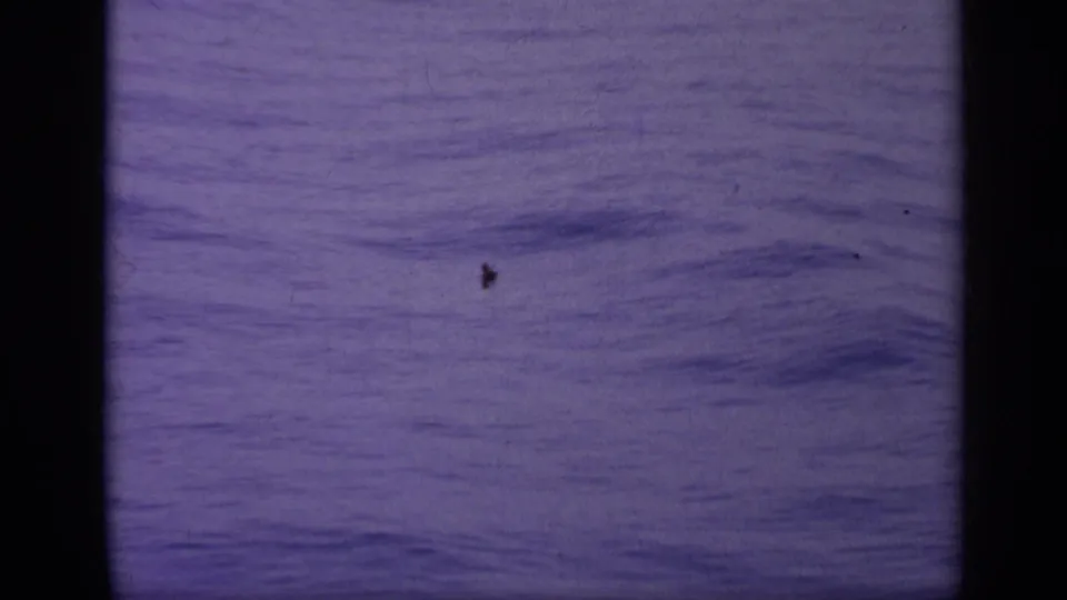 A distant small aircraft appears as a dark speck against the pale blue-purple sky in this 1962 8mm home-movie frame.
