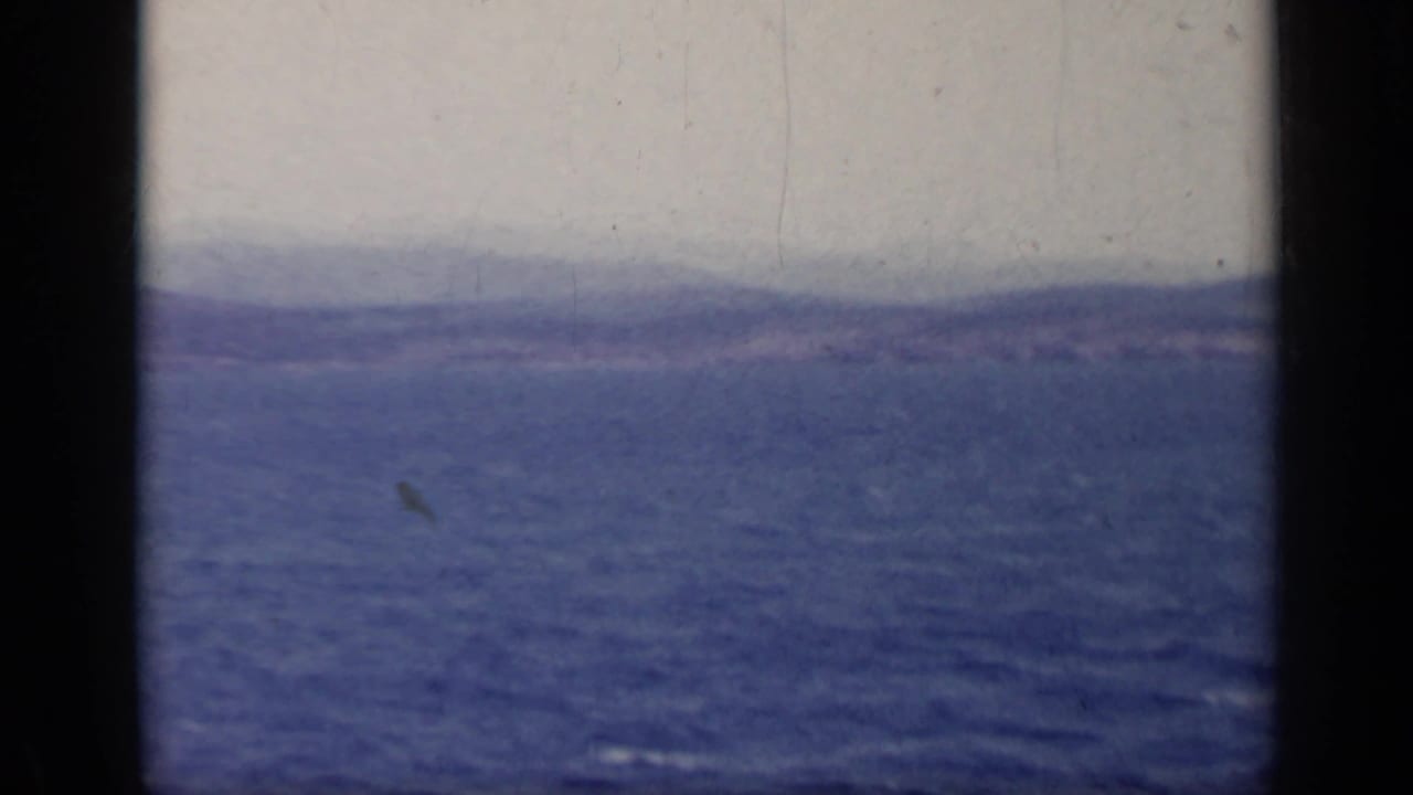 Distant horizon over blue sea with dark film borders and visible grain.