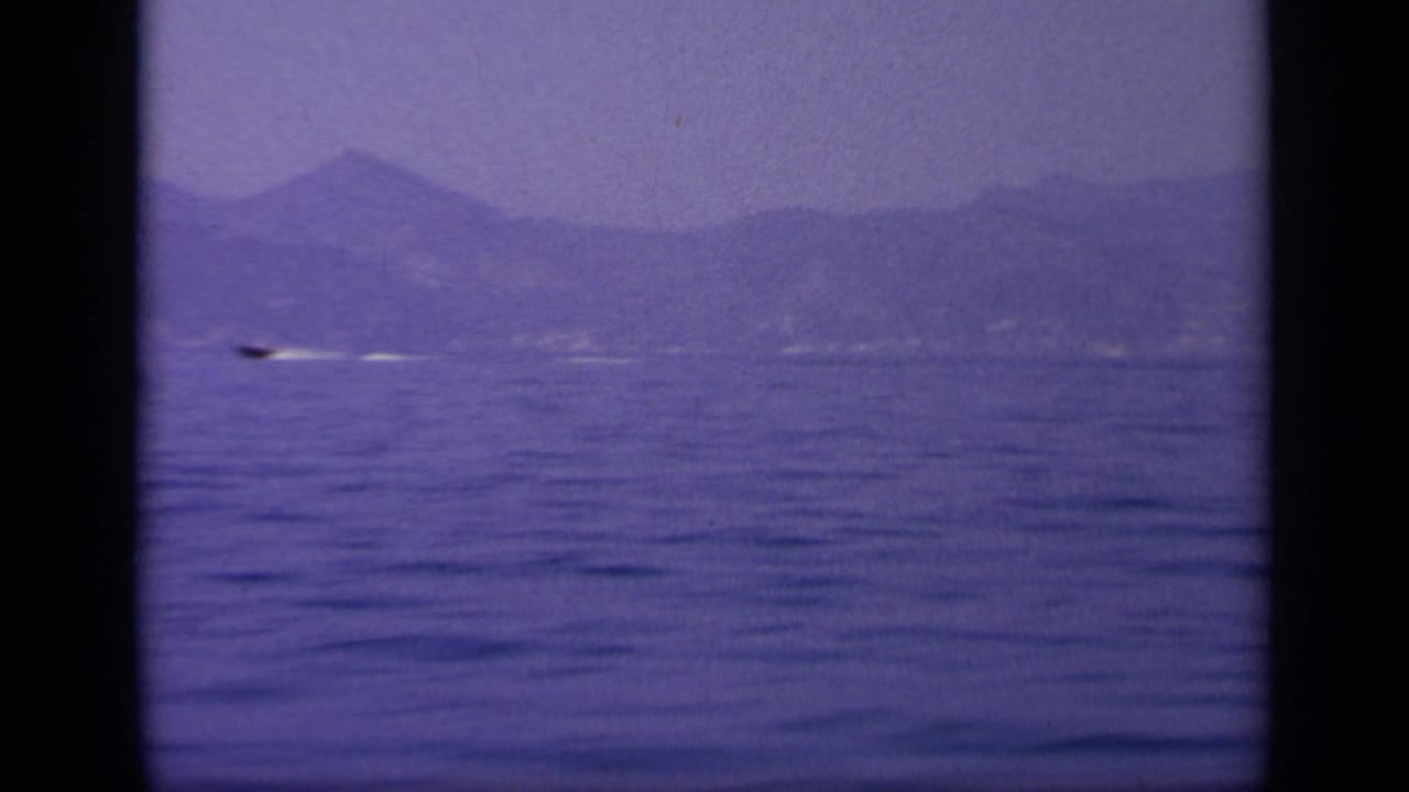 1963 8mm coastal sea view near Greece showing a small boat crossing water beneath distant mountains.