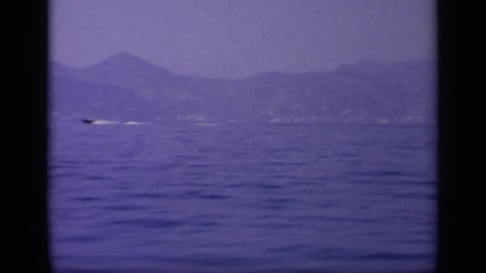 1963 8mm coastal sea view near Greece showing a small boat crossing water beneath distant mountains.