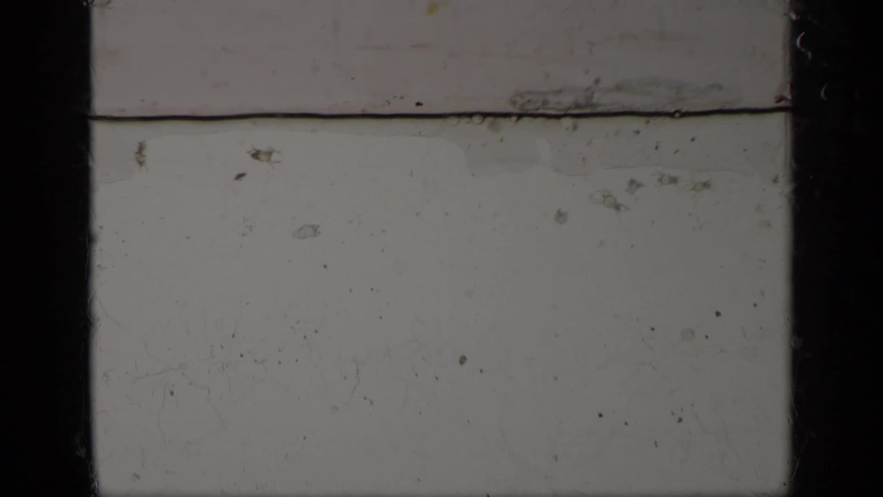 End frame from the 1963 Greece 8mm clip showing blank leader-like film, scratches, dust, a horizontal line, and dark gate borders.