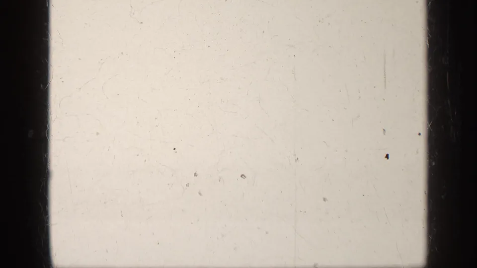 Pale blank 8mm frame from the end of the clip, with visible scratches, dust specks, and vertical gate edges.