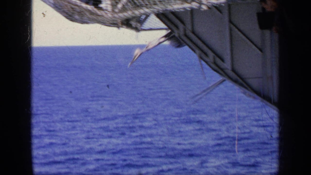 Open ocean seen from the carrier with part of deck rigging or netting at the edge.